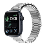 竹紋磁性不鏽鋼金屬錶帶，適用於 Apple Watch Series 8 41mm，適用於 Apple Watch Series 8 45mm，適用於 Apple Watch SE 2022 40mm，適用於 Apple Watch SE 2022 44mm，適用於 Apple Watch Series 7 41mm，適用於 Apple Watch Series 7 45mm