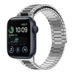 竹紋磁性不鏽鋼金屬錶帶，適用於 Apple Watch Series 8 41mm，適用於 Apple Watch Series 8 45mm，適用於 Apple Watch SE 2022 40mm，適用於 Apple Watch SE 2022 44mm，適用於 Apple Watch Series 7 41mm，適用於 Apple Watch Series 7 45mm