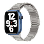 竹紋磁性不鏽鋼金屬錶帶，適用於 Apple Watch Series 8 41mm，適用於 Apple Watch Series 8 45mm，適用於 Apple Watch SE 2022 40mm，適用於 Apple Watch SE 2022 44mm，適用於 Apple Watch Series 7 41mm，適用於 Apple Watch Series 7 45mm