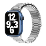 竹紋磁性不鏽鋼金屬錶帶，適用於 Apple Watch Series 8 41mm，適用於 Apple Watch Series 8 45mm，適用於 Apple Watch SE 2022 40mm，適用於 Apple Watch SE 2022 44mm，適用於 Apple Watch Series 7 41mm，適用於 Apple Watch Series 7 45mm