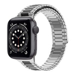 竹紋磁性不鏽鋼金屬錶帶，適用於 Apple Watch Series 6 40mm，適用於 Apple Watch Series 6 44mm，適用於 Apple Watch Series 5 44mm，適用於 Apple Watch Series 5 40mm，適用於 Apple Watch Series 4 44mm，適用於 Apple Watch Series 4 40mm