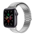 竹紋磁性不鏽鋼金屬錶帶，適用於 Apple Watch Series 6 40mm，適用於 Apple Watch Series 6 44mm，適用於 Apple Watch Series 5 44mm，適用於 Apple Watch Series 5 40mm，適用於 Apple Watch Series 4 44mm，適用於 Apple Watch Series 4 40mm