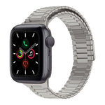竹紋磁性不鏽鋼金屬錶帶，適用於 Apple Watch Series 6 40mm，適用於 Apple Watch Series 6 44mm，適用於 Apple Watch Series 5 44mm，適用於 Apple Watch Series 5 40mm，適用於 Apple Watch Series 4 44mm，適用於 Apple Watch Series 4 40mm