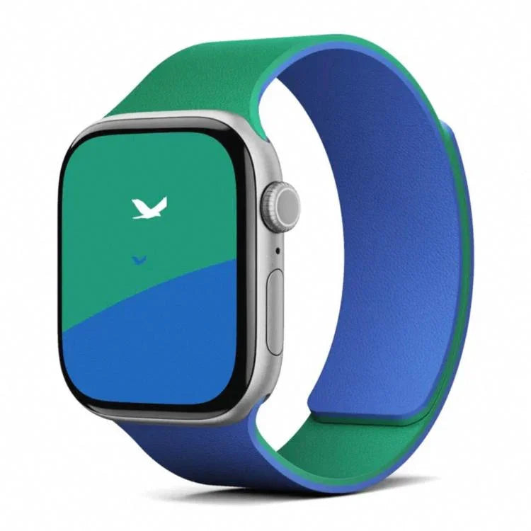 雙色荔枝紋磁性矽膠錶帶，適用於 Apple Watch 46mm / 49mm / 45mm / 44mm，適用於 Apple Watch 42mm / 41mm / 40mm / 38mm