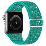 閃粉彈性尼龍錶帶，適用於 Apple Watch 49mm / 46mm / 45mm / 44mm，適用於 Apple Watch 42mm / 41mm / 40mm / 38mm