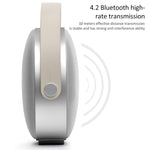 W-KING T8 HIFI 喇叭 30W 大功率便攜藍牙喇叭，帶 FM 收音機，適用於行動藍牙喇叭