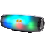 T&G TG165 5W*2 便攜無線喇叭，帶跳舞 LED 閃光燈，Mp3 AUX USB FM 收音機立體聲低音喇叭