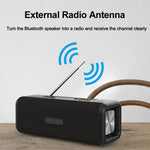 T9 無線藍牙 4.2 喇叭，10W 便攜音箱，FM 數位收音機，3D 環繞立體聲，支援免提通話、TF 及 AUX