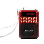 便攜充電式FM收音機喇叭，支援USB / TF卡 / 音樂MP3播放器