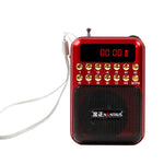 便攜充電式FM收音機喇叭，支援USB / TF卡 / 音樂MP3播放器