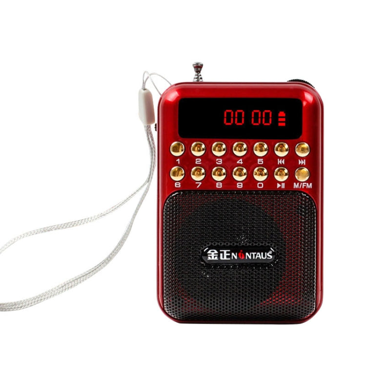 便攜充電式FM收音機喇叭，支援USB / TF卡 / 音樂MP3播放器