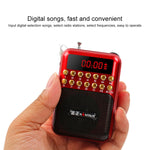 便攜充電式FM收音機喇叭，支援USB / TF卡 / 音樂MP3播放器