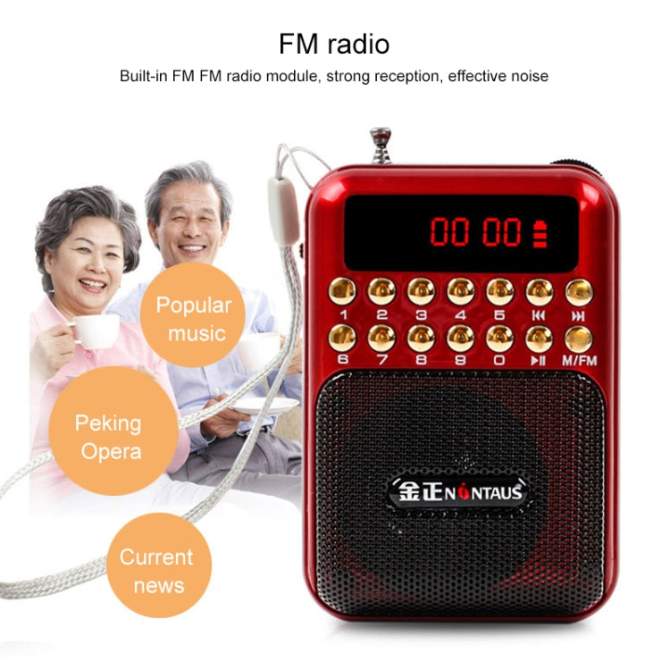 便攜充電式FM收音機喇叭，支援USB / TF卡 / 音樂MP3播放器
