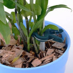塑膠植物園藝夾套裝，5套