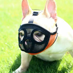 寵物鬥牛犬口罩寵物用品，全網罩版本，XXS，XS，S，M，L