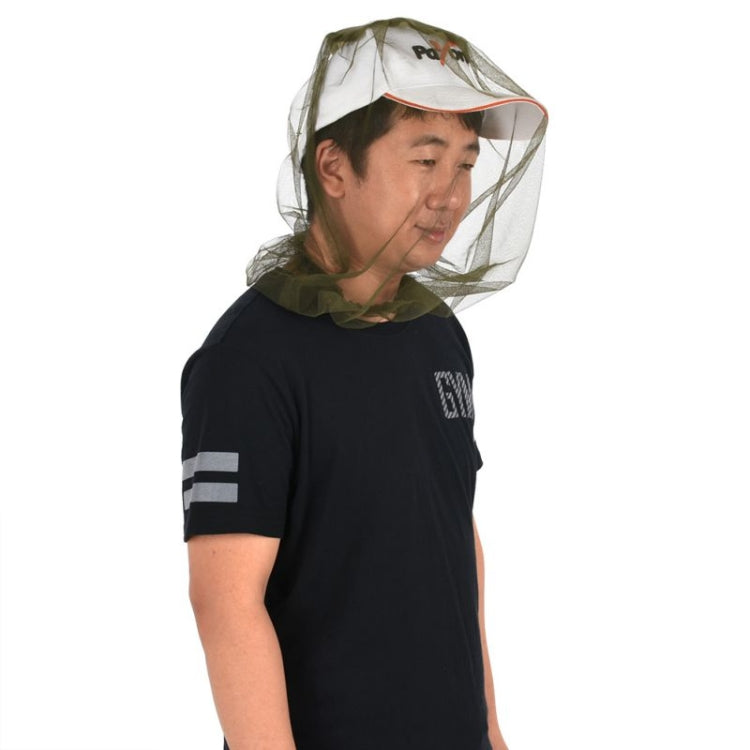 圖片替代文字