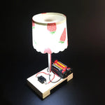 創意 DIY 小檯燈 科技小製作 小學生手工材料 科學實驗，DIY 小檯燈
