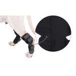 DogLemi PD60041 狗後膝支撐寵物後腿壓縮護具保護傷口和損傷，S，M，L，XL