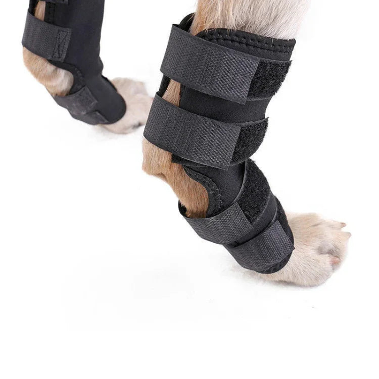 DogLemi PD60041 狗後膝支撐寵物後腿壓縮護具保護傷口和損傷，S，M，L，XL