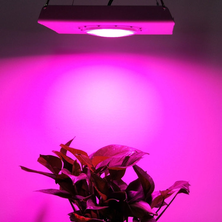 75W 植物生長燈超薄高亮全光譜 COB 室內溫室燈帶插頭，EU 插頭