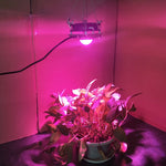 COB 植物生長燈 LED 蔬菜種植多肉燈，全光譜，陽光