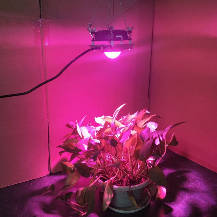 COB 植物生長燈 LED 蔬菜種植多肉燈，全光譜，陽光