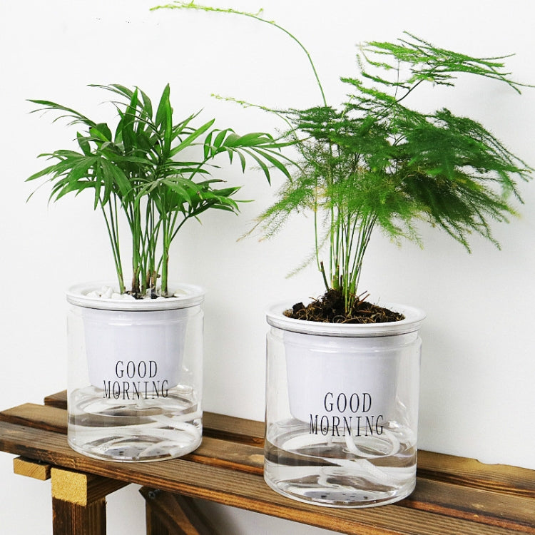自動吸水水培盆多肉植物花盆，透明帶字