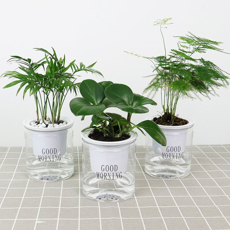 自動吸水水培盆多肉植物花盆，透明帶字