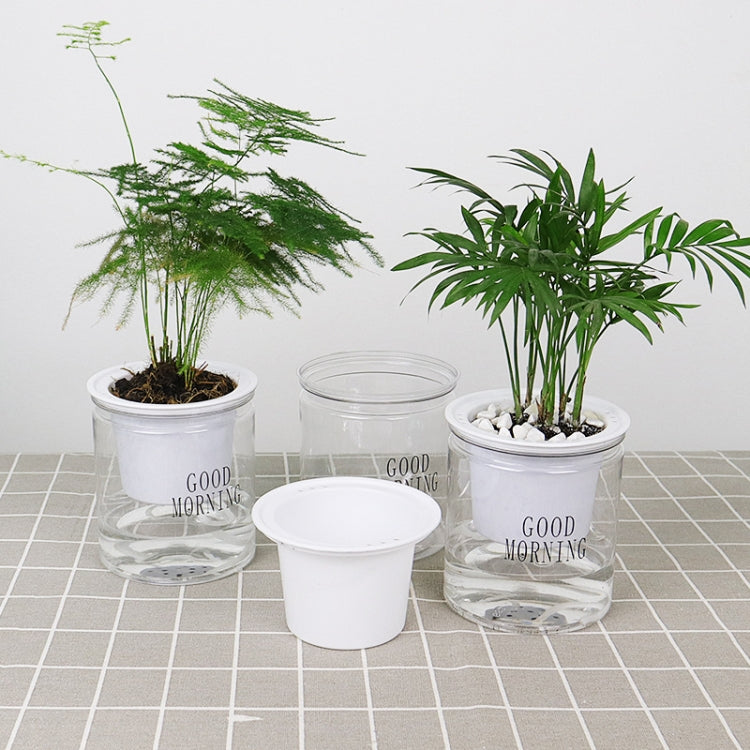 自動吸水水培盆多肉植物花盆，透明帶字