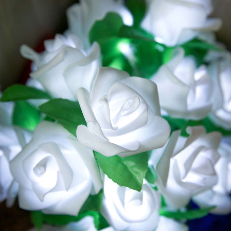 玫瑰花電池供電仙女燈婚禮家居生日派對花環裝飾燈串，暖白光，白光