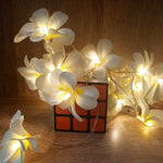 1.5米 10顆 LED 電池供電暖白色創意 DIY 鳳凰木 LED 燈串花卉節日派對裝飾臥室燈串