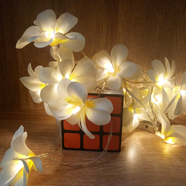 1.5米 10顆 LED 電池供電暖白色創意 DIY 鳳凰木 LED 燈串花卉節日派對裝飾臥室燈串