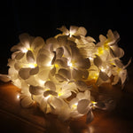 1.5米 10顆 LED 電池供電暖白色創意 DIY 鳳凰木 LED 燈串花卉節日派對裝飾臥室燈串