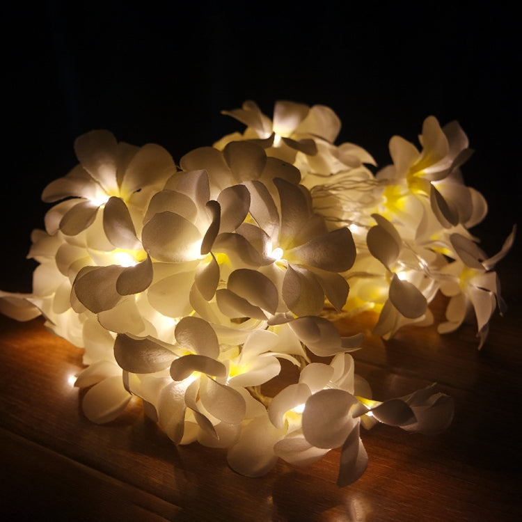 1.5米 10顆 LED 電池供電暖白色創意 DIY 鳳凰木 LED 燈串花卉節日派對裝飾臥室燈串