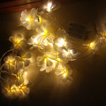 1.5米 10顆 LED 電池供電暖白色創意 DIY 鳳凰木 LED 燈串花卉節日派對裝飾臥室燈串
