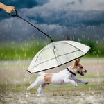 寵物傘透明可調節雨天狗散步牽引繩，寵物傘