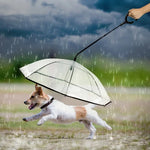 寵物傘透明可調節雨天狗散步牽引繩，寵物傘