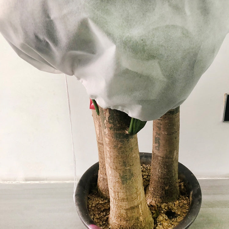 2個植物防凍罩秋冬防寒樹罩無紡布植物防凍袋，0.8mx1.2m，0.6mx0.8m，1.2x1.8m，0.8mx1m