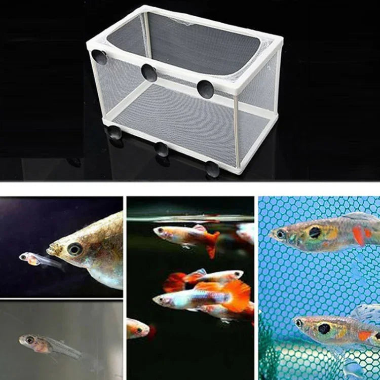 大型水族箱孵化器小魚隔離盒網熱帶魚繁殖盒，無隔板