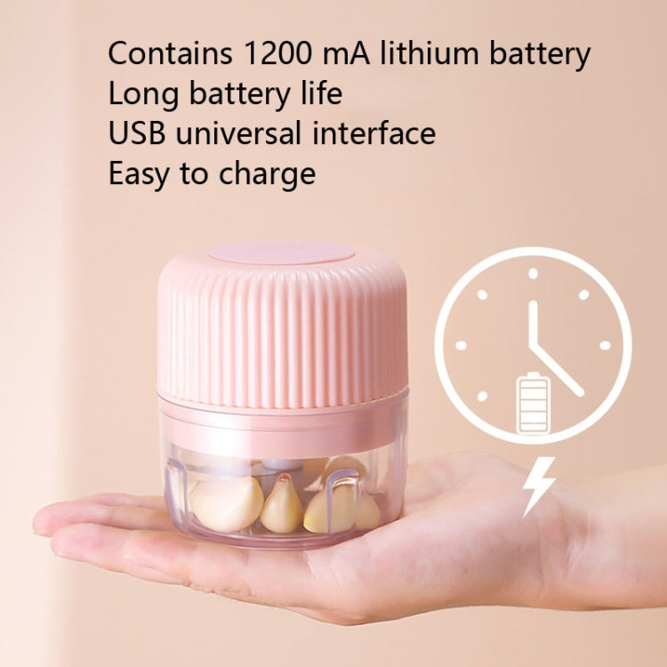 家用蔬菜切割電動USB大蒜搗碎器嬰兒迷你料理機嬰兒輔食機，250ml，100ml+250ml，100ml