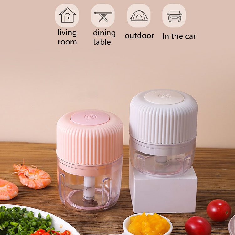 家用蔬菜切割電動USB大蒜搗碎器嬰兒迷你料理機嬰兒輔食機，250ml，100ml+250ml，100ml