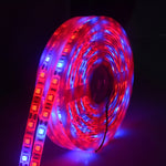 5米 300顆LED SMD 5050 全光譜LED燈帶 Fitolampy 溫室水培植物生長燈，防水
