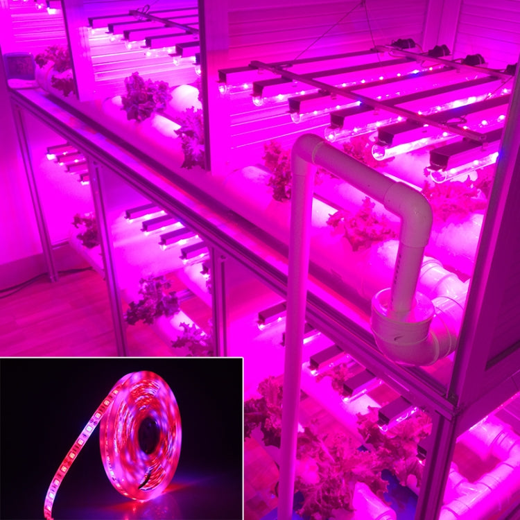 5米 300顆LED SMD 5050 全光譜LED燈帶 Fitolampy 溫室水培植物生長燈，防水