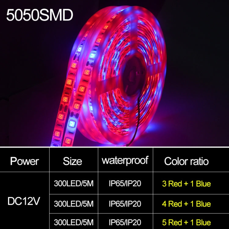 5米 300顆LED SMD 5050 全光譜LED燈帶 Fitolampy 溫室水培植物生長燈，防水