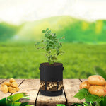 360 Degree Transparent Potato Bag In The Middle Covered Plant Growing Bag, Large (35x45cm) 43 Liters/10 Gallons, Medium (30x35cm) 26 Liters/7 Gallons