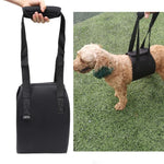 HCPET F1905 殘障犬輔助帶 老年犬散步輔助牽引繩 寵物用品，S，M，L