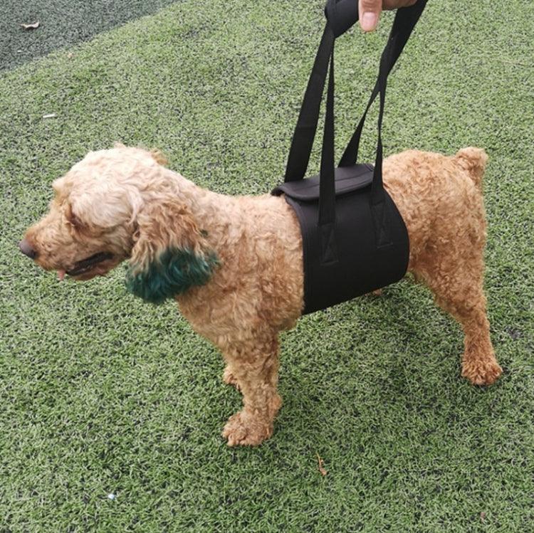 HCPET F1905 殘障犬輔助帶 老年犬散步輔助牽引繩 寵物用品，S，M，L