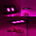 超薄 LED 植物燈，全光譜 COB 生長燈，蔬菜、水果與花卉溫室補光燈 無插頭，50W，100W，150W