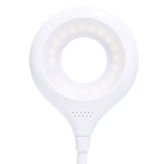 Deli 4326 Three-gear Adjustable Ring USB Charging Desk Lamp with Pen Holder