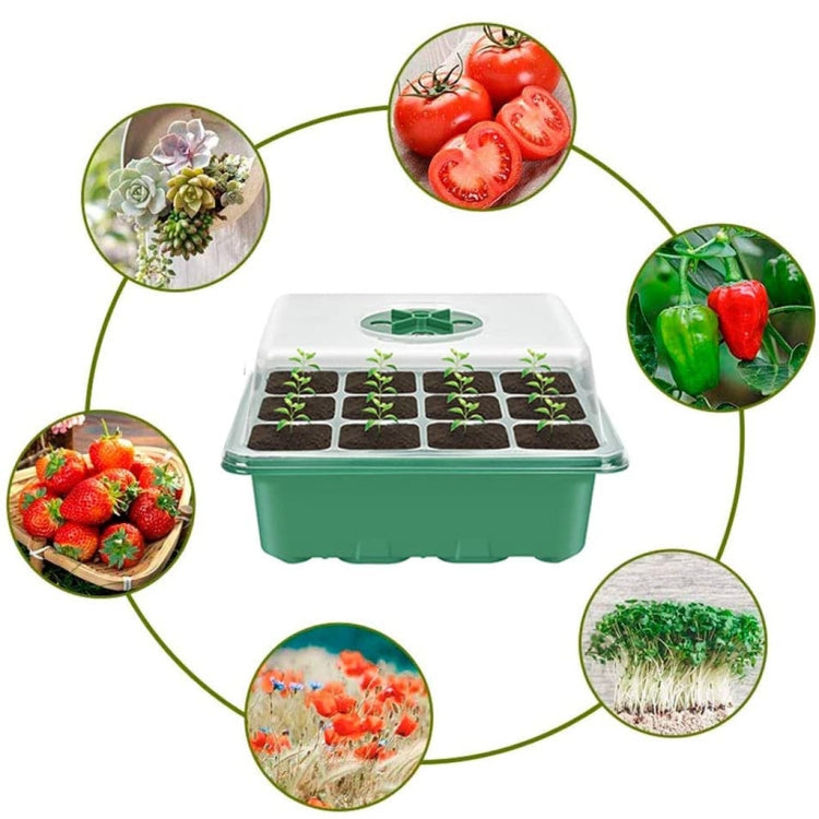11件套園藝植物苗培育工具，植物苗培育工具